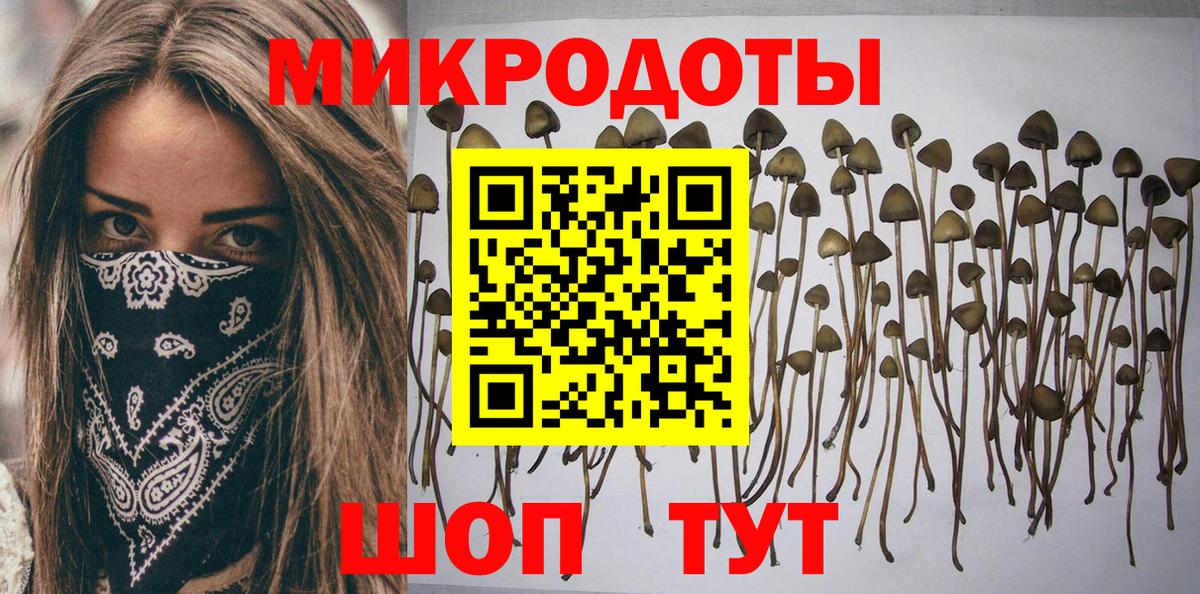 Галлюциногенные грибы Cubensis  Вход с VPN  Учалы 